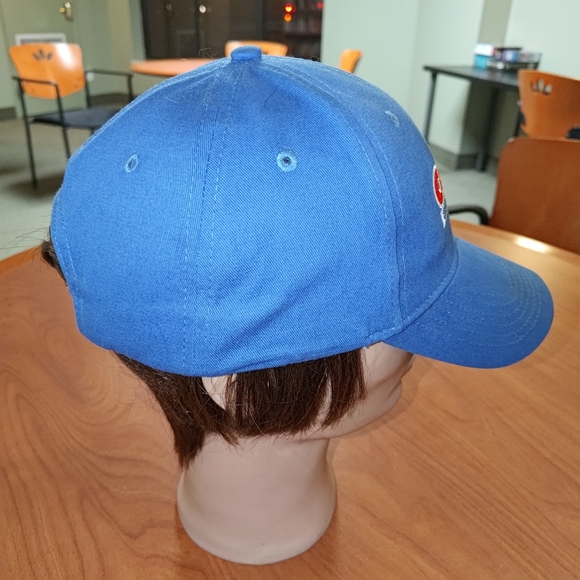 Costco Wholesale Embroidered Logo Strapback Hat Cap OS